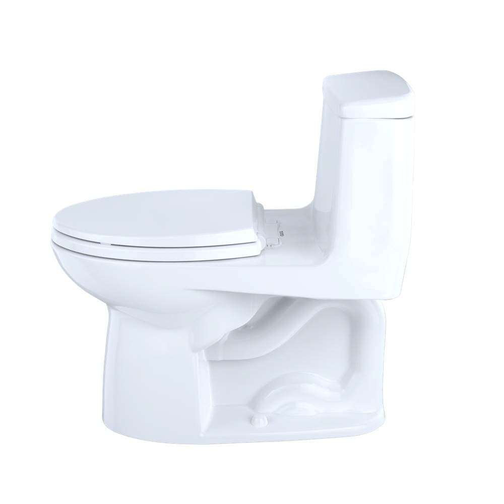 Toto2